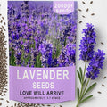 20000+ Lavender Seeds Bulk- Non GMO Premium English Lavender Seeds for Planting Outdoors or Intdoors, 2026 Wildflower Seed Grow Fragrant Gardens, DIY Essential Oils, Perfect for Home Gardeners, Gifts