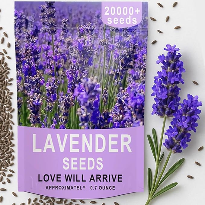 20000+ Lavender Seeds Bulk- Non GMO Premium English Lavender Seeds for Planting Outdoors or Intdoors, 2026 Wildflower Seed Grow Fragrant Gardens, DIY Essential Oils, Perfect for Home Gardeners, Gifts