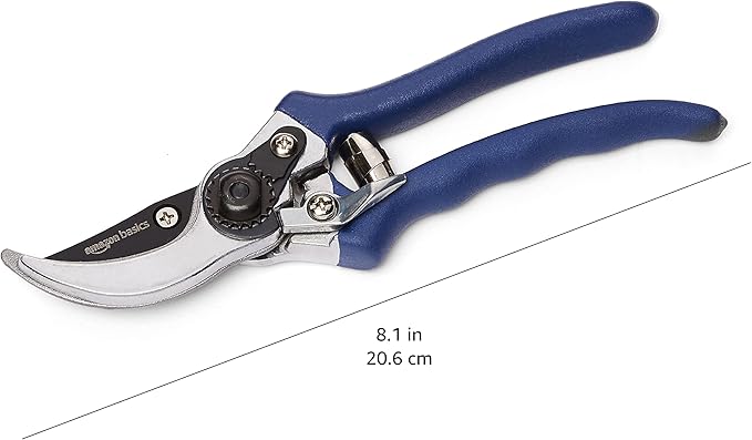 Amazon Basics Professional Bypass Pruning Shears, Garden Clippers, 8-inch Steel Hand Pruners, Rust Resistant with Ergonomic Non-Slip Grip for Trimming Plants and Cutting Flowers, Blue