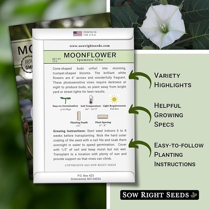 Sow Right Seeds - Moonflower (Ipomoea alba) Flower Seeds for Planting - Non-GMO Heirloom Flowers to Grow in Your Home Garden - Vining Plant for Beautiful Evening Blooms - Wonderful Gift (2)