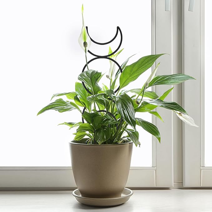 Plant Trellis for Climbing Plants Indoor, Small 14.6in Metal Trellis for Potted Plants, Mini Houseplant Hoya Pothos Trellis with Ties, Set of 4p Different Shap, Black