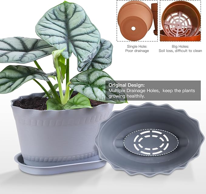 Herb Planter Pots 6 Pcs, Window Box Planter Flower Plants Pots for Succulent Cactus Flower with Trays, for Home Garden Kitchen Decor (Grey)
