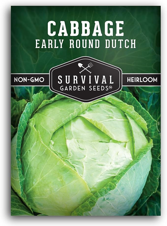 Early Round Dutch Cabbage Seeds for Planting | Heirloom Non-GMO Cold Hardy Variety for Spring & Fall Gardens - Storage & Sauerkraut Cabbages - Survival Garden Seeds (1 Pack)