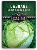 Early Round Dutch Cabbage Seeds for Planting | Heirloom Non-GMO Cold Hardy Variety for Spring & Fall Gardens - Storage & Sauerkraut Cabbages - Survival Garden Seeds (1 Pack)