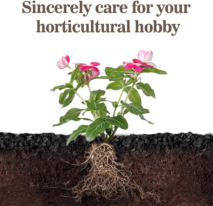 Sukh Horticultural Charcoal for Plants - 1Qt. Natural Earth Regulated Supplement for Potting Soil Indoor Plants, Organic Biochar, Succulent Soil, Paphiopedilum, Bonsai, Terrarium