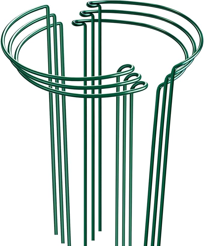 HiGift 6 Pack 24 Inch Plant Stakes, 10" Wide x 24" High Half Round Metal Peony Cages and Support, Green Garden Plant Stake Plant Support Ring Border for Peony Tomato,Hydrangea,Flower Indoor Outdoor