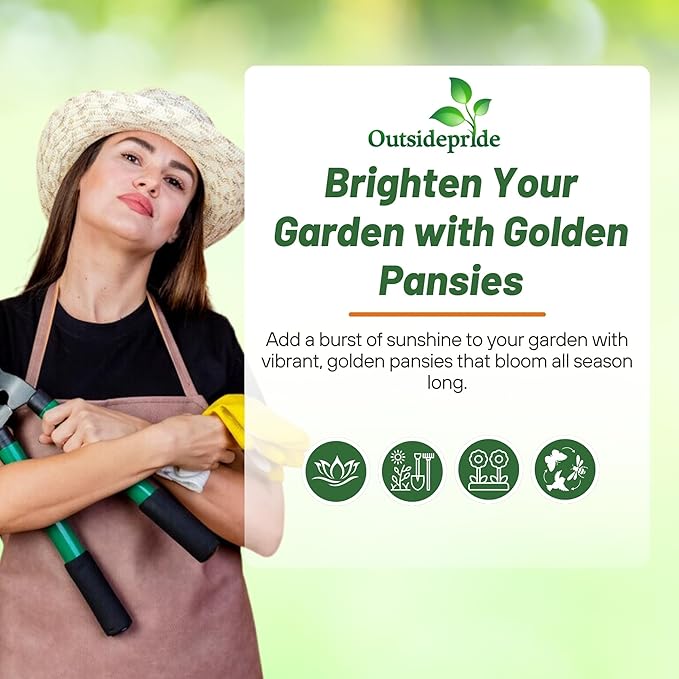 Outsidepride Swiss Giant Coronation Gold Viola Pansy Seeds for Planting - 1000 Pcs Biennial, Cold Hardy Flower Seeds for Containers, Baskets, Borders, & Pollinator-Friendly Gardens (AAS Winner)