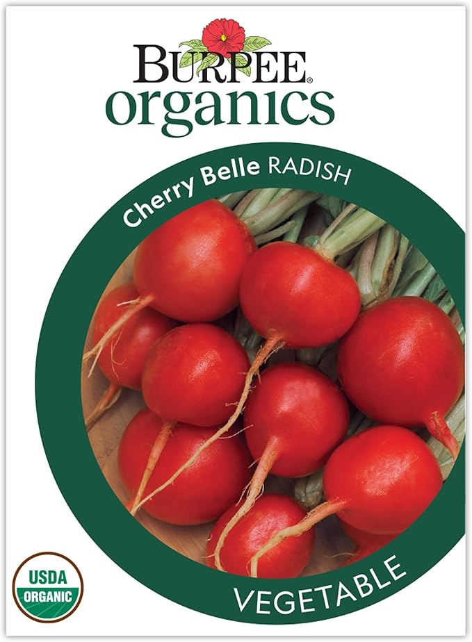 Burpee Organic Cherry Belle Radish Seeds - Fast, Classic Round Radish