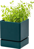 D'vine Dev 4 Inch Herb Planter Pot, Plastic Planter with Drainage Holes and Saucer, Modern Decorative Gardening Pot for Indoor Plants, Flowers, Herbs, Succulents, Green, Set of 1, 76-Y-C-1