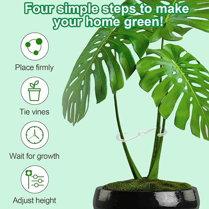 BOXOB 4pcs Plant Stem Support, 2 Sizes Plant Stem Holder Hook Monstera Stabilizer for Indoor Outdoor Climbing Houseplant Growth Accessories (Clear)