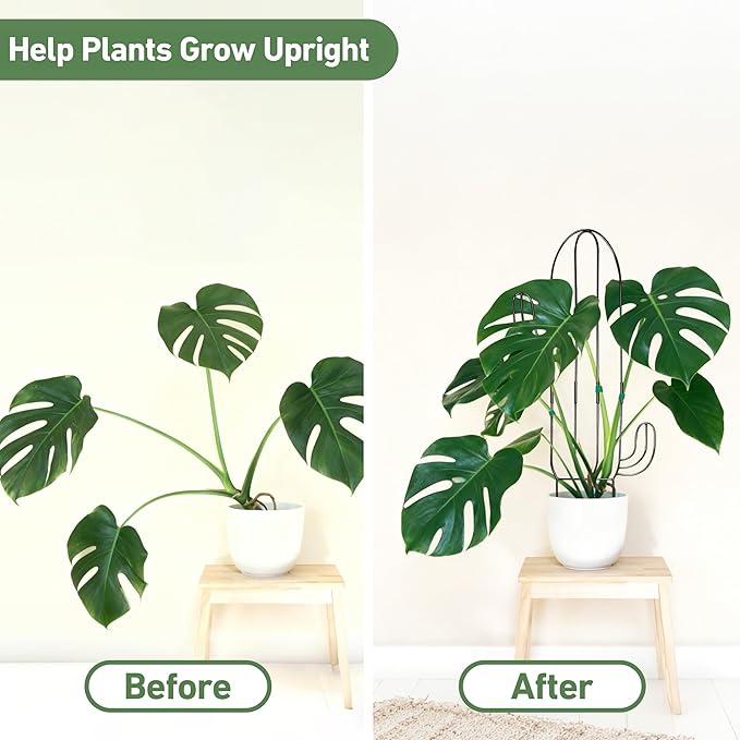 Plant Trellis for Climbing Plants Indoor, Heay Duty Cactus Trellis for Potted Plants, Pothos Hoya Monstera Metal Houseplant Climbing Support for Garden Balcony, 2P
