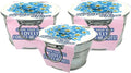 Unique Gardener Grow Your Own Forget-Me-Not Plant Seeds 3-Pack, DIY Indoor Succulents and Live Plants for Home or Garden Planting, Lil Bucket of Love