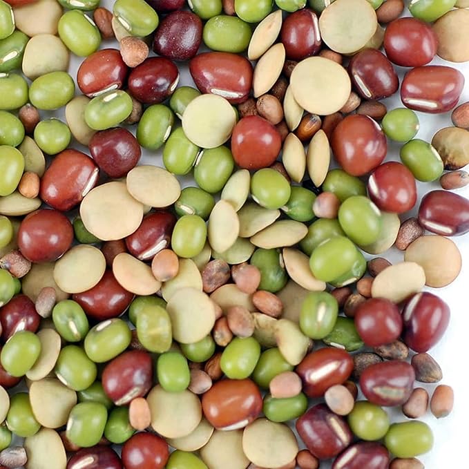 Bean Salad Sprouting Seed Mix- Organic- 1 Lbs- Mix of Bean Sprout Seeds: Adzuki, Mung Bean, Green Lentil & Radish. For Sprouting Sprouts, Soup, Food Storage