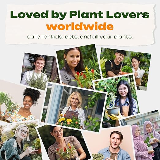 RichFarm Booster, 5 Pouch, Indoor or Outdoor Root Stimulator for Plant, Billion Microbes, Work with Any Fertilizer or Plant Food, Organic, Soil Condition Powder, for Garden, Pots and Lawns