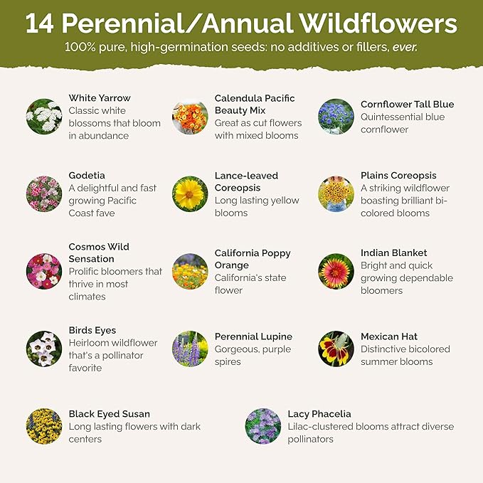 Eden Brothers Bird & Butterfly Wildflower Mixed Seeds for Planting, 1 lb, 480,000+ Seeds with Cosmos, Indian Blanket | Attracts Pollinators, Plant in Spring or Fall, Zones 3, 4, 5, 6, 7, 8, 9, 10
