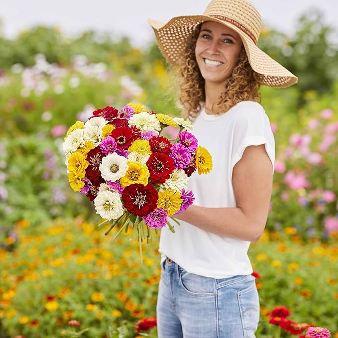 Eden Brothers Zinnia Seeds - Benary Giant Mix, Non-GMO Seeds for Planting, Packet | Low-Maintenance Flower Seeds, Plant During Spring, Zones 3, 4, 5, 6, 7, 8, 9, 10