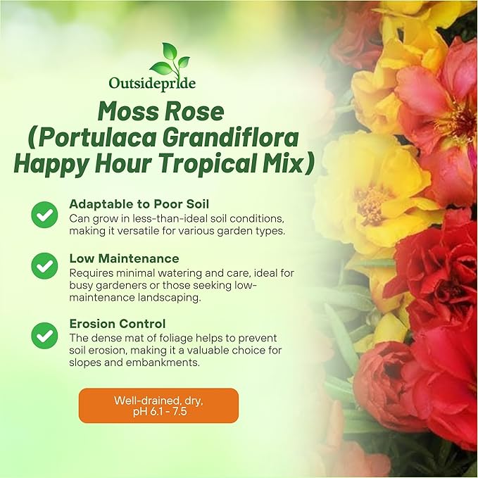Outsidepride Tropical Mixed Moss Rose Seeds - 250 Pcs Annual, Drought & Heat Tolerant, Pollinator Friendly Ground Cover Seeds for Planting w/Vibrant Blooms & Succulent Foliage, Ideal for Xeriscaping