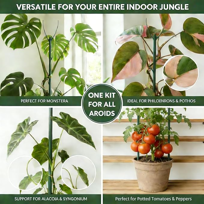 Tree Branch Plant Support Stakes – Stackable Plant Support Sticks with Clips & Velcro Tie – Natural Aesthetic Extendable Trellis for Indoor Plants, Monstera, Pot (Green-6 Pack)