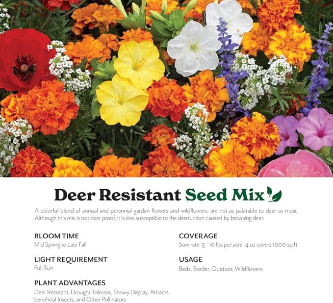 Grow Your Own Vibrant Annual and Perennial Wildflower Garden Seed Mixture, Varieties for Pollinators and Spring Gardens - Deer Resistant Mix, 1/4 lb