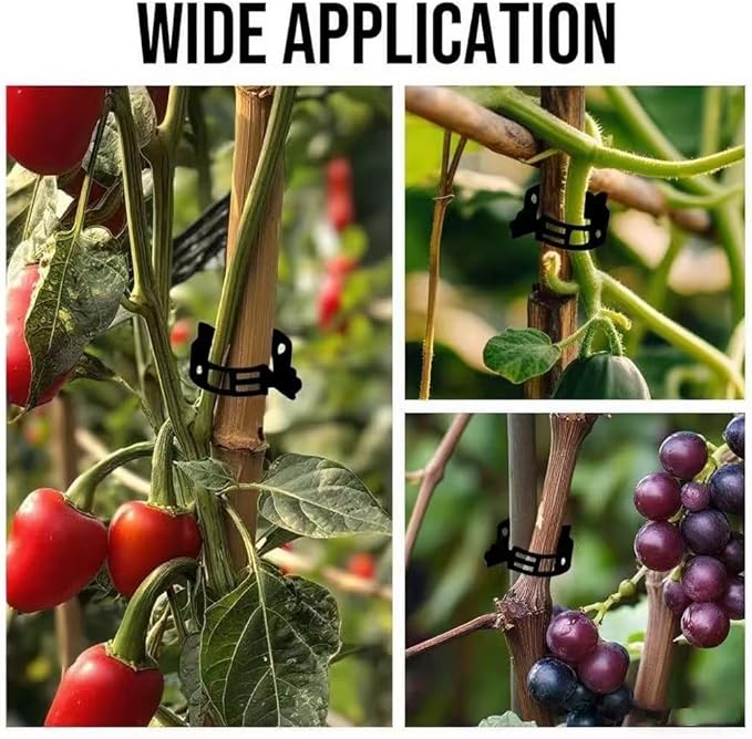 Plant Support Clips Plastic Tomato Clips Plant Clips for Climbing Plants Clear Grape Tomato Vine Trellis Clips for Garden Vegetables Plants Flower Grow Fixing (100, Black)