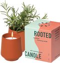 Modern Sprout Rooted Candle - 2 in 1 Cucumber Scented & Soy Candle with Seeds That Grows into Rosemary Plant - 6 oz w/ 42 Hr Burn Time in Matte Glaze Ceramic Vessel Ideal for Indoor Herb Garden