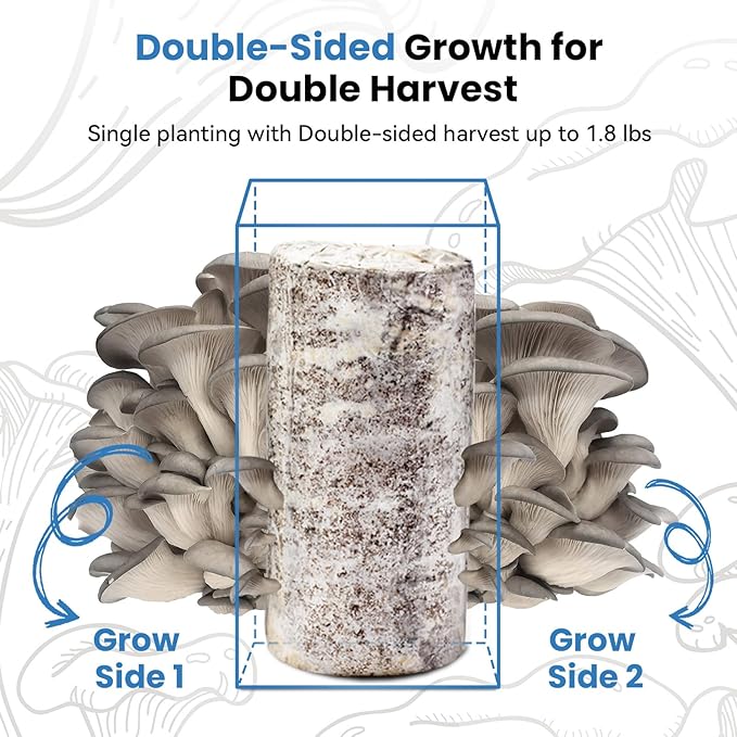 Organic Edible 4lbs Oyster Mushroom Growing Kit, Made in USA, Double-Side Mushroom Grow Kit Indoor, Harvest Gourmet Mushrooms in 10 Days, Top Gardening Gift, Holiday Gift