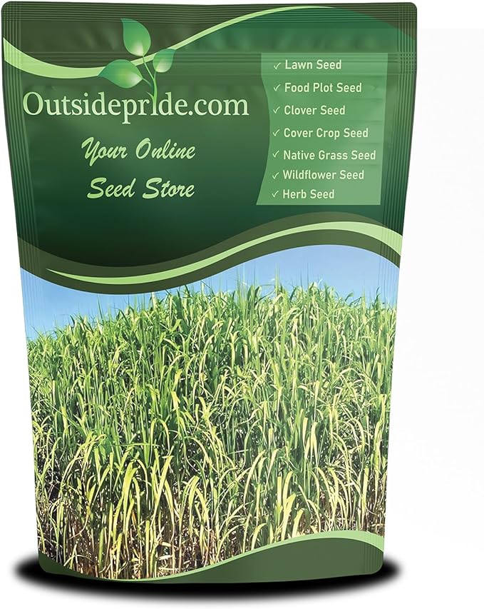 Outsidepride Switchgrass Seed - 10 lbs. Perennial Hardy, Drought & Flood Tolerant Native Grass Seed Ideal Fast-Growing Grasses for Erosion Control, Wildlife Forage & Food Plots, Thrives in Poor Soil