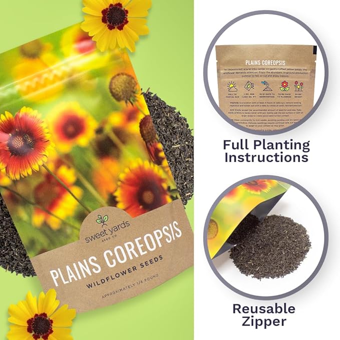Plains Coreopsis Seeds – Native Flowers – Bulk Quarter Pound Bag – Over 400,000 Open Pollinated Non-GMO Wildflower Seeds – Coreopsis tinctorial