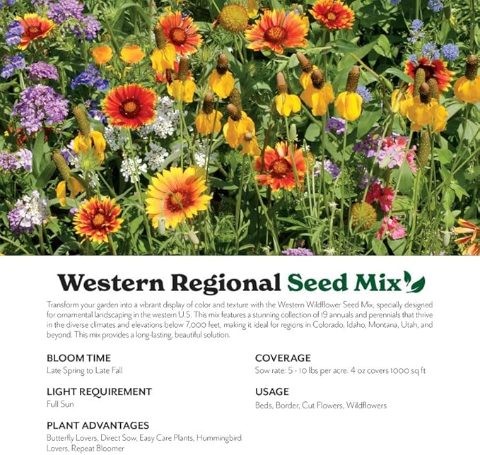 Grow Your Own Vibrant Annual and Perennial Wildflower Garden Seeds Mixture, Varieties for Pollinators and Spring Gardens - Western Regional Mix, 10 lbs