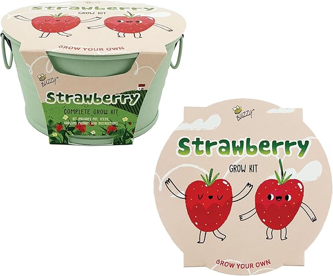 BUZZY Seeds Sage Green Painted Basin Strawberry Grow Kit, Indoor Fruit Plant Starter, Fun DIY Gardening Gift, Grow Your Own Snack, Party Favor or Valentine Gift