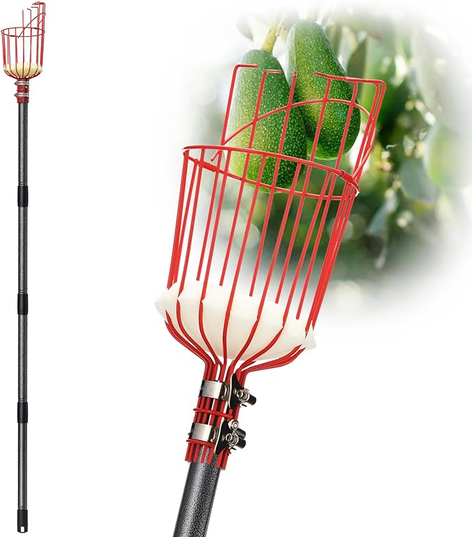 DonSail Fruit Picker Pole Tool with Basket Telescoping - Adjustable Mango Picker 35-120 inch Long Handle - Apple Orange Avocado Acorn Lemon Pear Pomelo Chery Picker for Tree