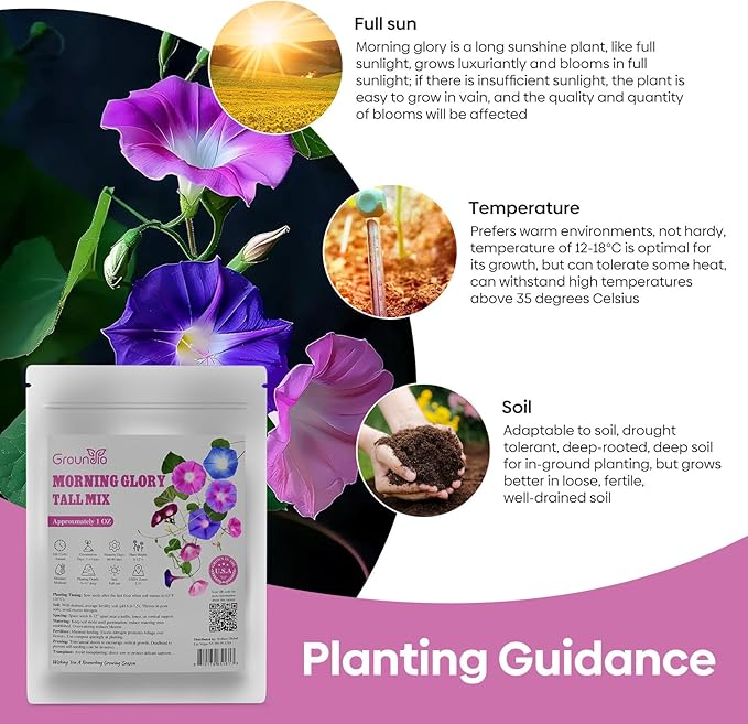 Morning Glory Seeds, Mix Color and Tall, Large Pack 1 Ounce Climbing Vine Flower Seeds Fast Growing for Planting Outdoors, Open Pollinated | Non-GMO | Heirloom | USDA 2-11