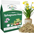 ZeeDix 6QT Natural Sphagnum Moss for Plants, Orchid Moss Potting Mix for Repotting, High Water Retention, Help with Maintain Humidity, Plant Moss for Gardening, Hanging Baskets, Reptile Bedding