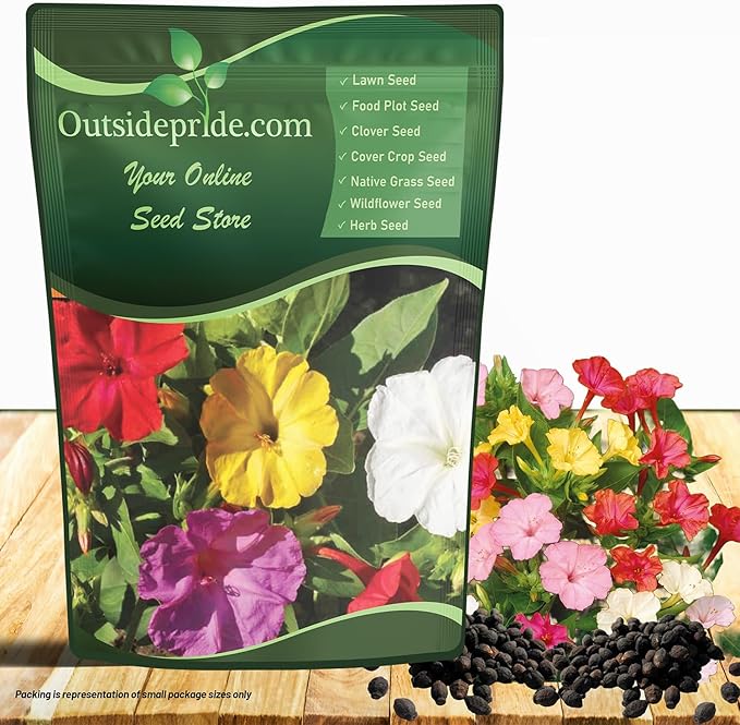 Outsidepride Mixed Four O'clock Flower Seeds - 1/4 lb Perennial Fragrant, Trumpet-Shaped Blooms, Deer-Proof & Easy to Grow, for Pollinator & Evening Gardens, Containers, Hedges, or Borders