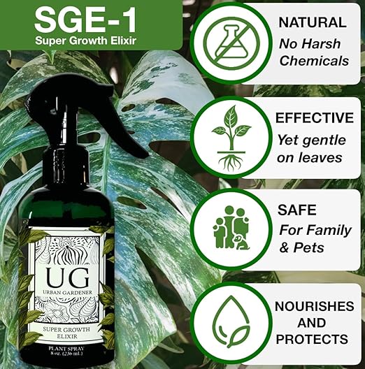 Organic Leaf Wellness Spray for Plants - Protect & Nourish Your Plants w/Chitosan, Yucca Extract, Liquid Kelp and Essential Oils - 8 oz House Plant Spray Bottle