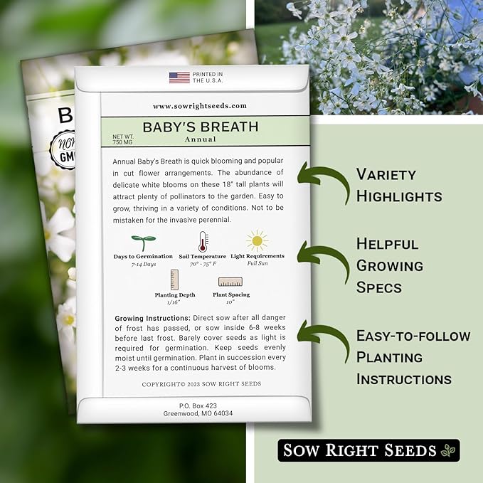 Sow Right Seeds - Annual Baby’s Breath Seeds for Planting - Non-GMO White Flowers Heirloom Packet with Instructions to Plant in Your Home Garden - Snow Like Blooms - Fresh and Dried Cut Flower (2)