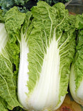 Cabbage Chinese Michihili Heirloom Vegetable by Seed Kingdom 2,000 Seeds