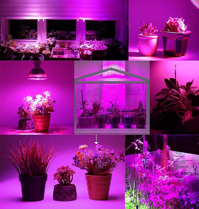 Full Spectrum 50W Led Grow Light Bulb for Indoor Plants, Vegetables and Seedlings, LED Plant Light Bulb for Hydroponics, Indoor Garden, Greenhouse and Organic Soil, E27 78LED Plant Lights, Pack of 2