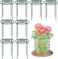 DAYUMKOU 8 Pack Peonies Cages and Supports, 11.5" Wide x 12" High Plant Support Stakes, 4 Legs Plant Cages & Supports with Removable Grid for Peonies Roses Tomato Hydrangea Strawberry