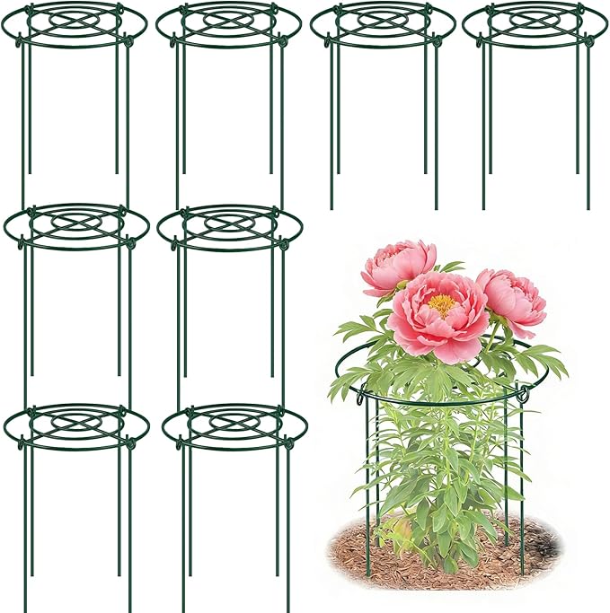 DAYUMKOU 8 Pack Peonies Cages and Supports, 11.5" Wide x 12" High Plant Support Stakes, 4 Legs Plant Cages & Supports with Removable Grid for Peonies Roses Tomato Hydrangea Strawberry