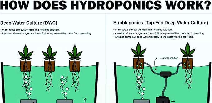 The Atwater HydroPod - DWC Deep Water Culture Garden System Kit - 5 Gallon Bubble Bucket - Bubbleponics - (Without Nutrients)
