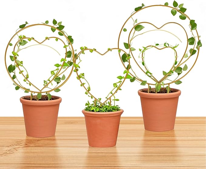 Hoya Trellis 3 Size Indoor Plants Flower Support Stakes Round or Heart Metal Trellis Set Garden Tool Accessories for Small Potted Vine Climbing Houseplants (GoldenCH)