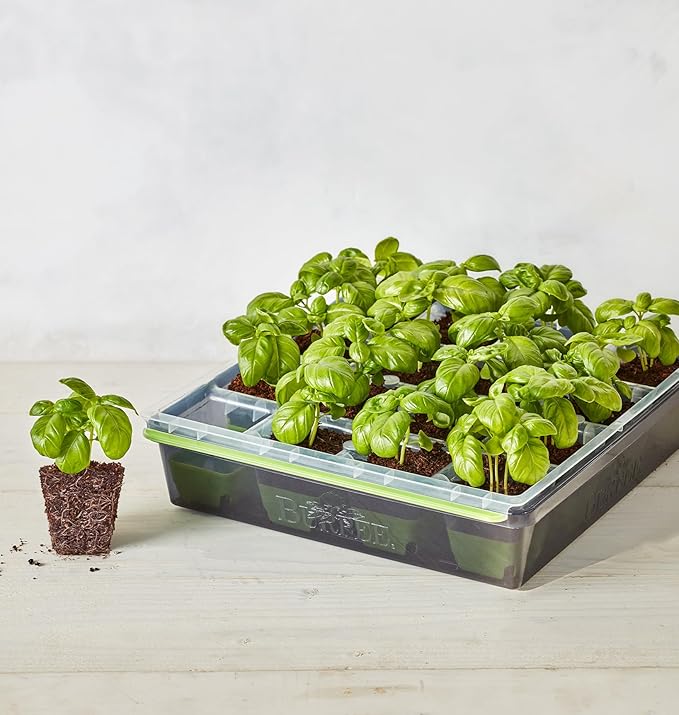 Burpee SuperSeed Seed Starting Tray | 16 XL Cell | Reusable & Dishwasher Safe | for Starting Vegetable Seeds, Flower Seeds & Herb Seeds | Indoor Grow Kit for Deep-Rooted Seedlings, Green