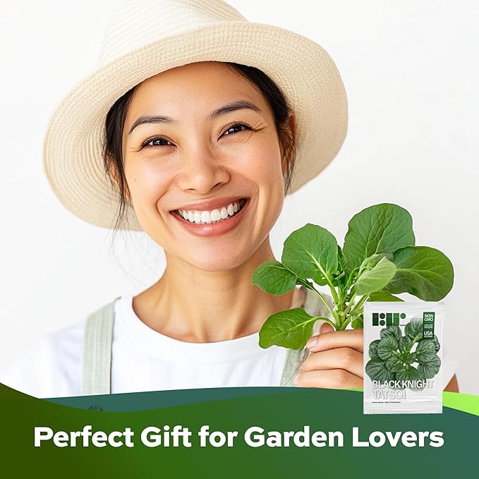 1000 Black Knight Tatsoi Mustard Seeds for Planting – Heirloom, Non-GMO, USA Grown Asian Greens with Premium Waterproof Packaging Brassica rapa subsp. narinosa by RDR Seeds