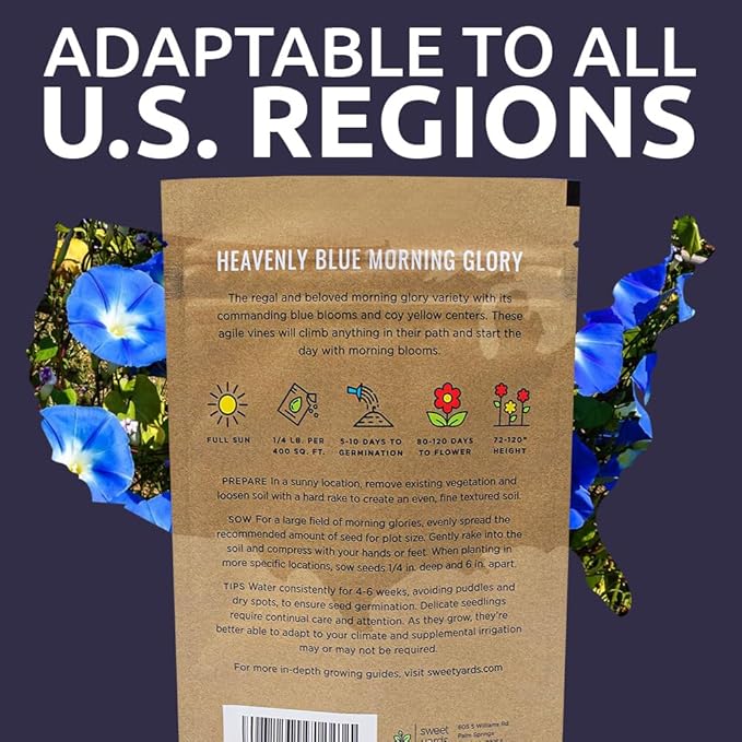 Morning Glory Seeds Heavenly Blue - Bulk 1/4 Pound Bag - Over 4,000 Fresh Flower Seeds