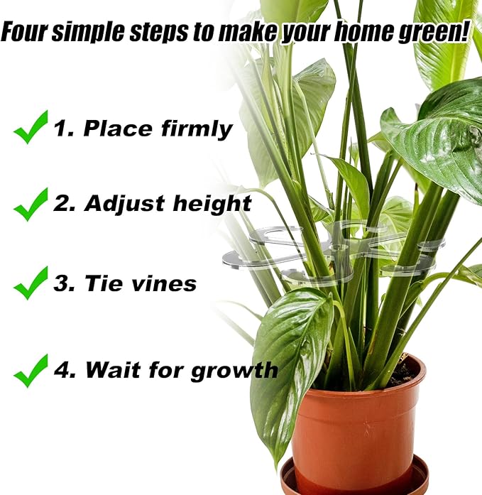BOXOB 6pcs Climbing Plant Stem Supports, 2 Sizes Acrylic Houseplant Stem Holder with Holes Reusable Plant Stand Stakes Trellis Stem Hook Growth Accessories for Plants (Transparent)