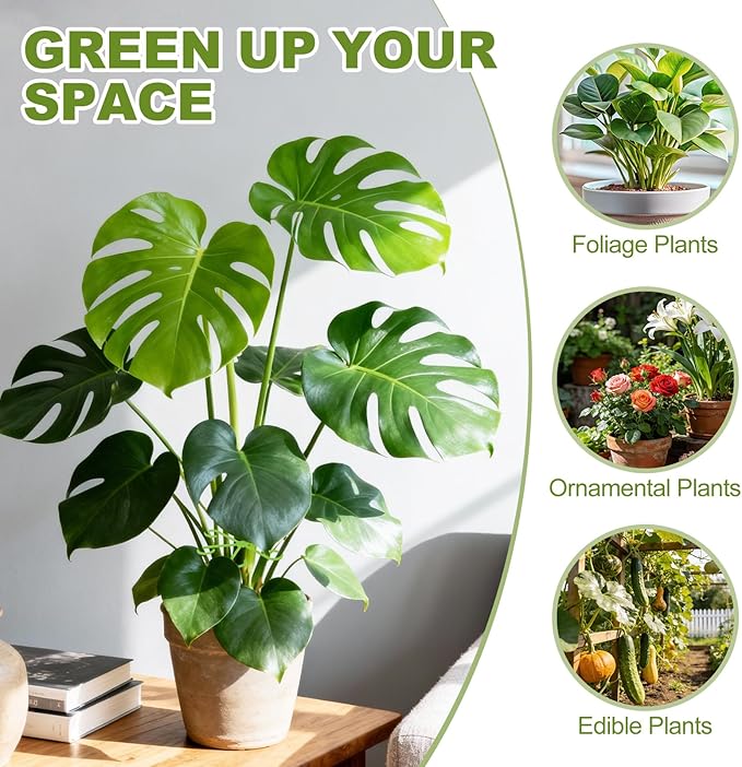 40PCS Plant Stem Support, Plant Support for Indoor Plants, Reusable Plant Support Clips, Climbing Houseplant Stem Holders, Indoor Plants Accessories
