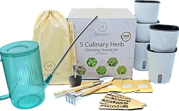 5 Herb Garden Kit Indoor - Kitchen Windowsill Self Watering Herb Garden Kit Indoor Starter Set Grow Organic Seeds Basil, Cilantro, Chives, Thyme, Lemon Balm (Melissa)