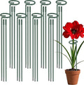 36 Inch Plant Sticks Support Tall Three Sizes (12 or 24 or 36 Inch), 8 Pcs 4.5mm Adjustable Outdoor and Indoor Plant Support, Garden Stakes for Plants Flowers Rose Tomatoes Peony Lily Rose Amaryllis