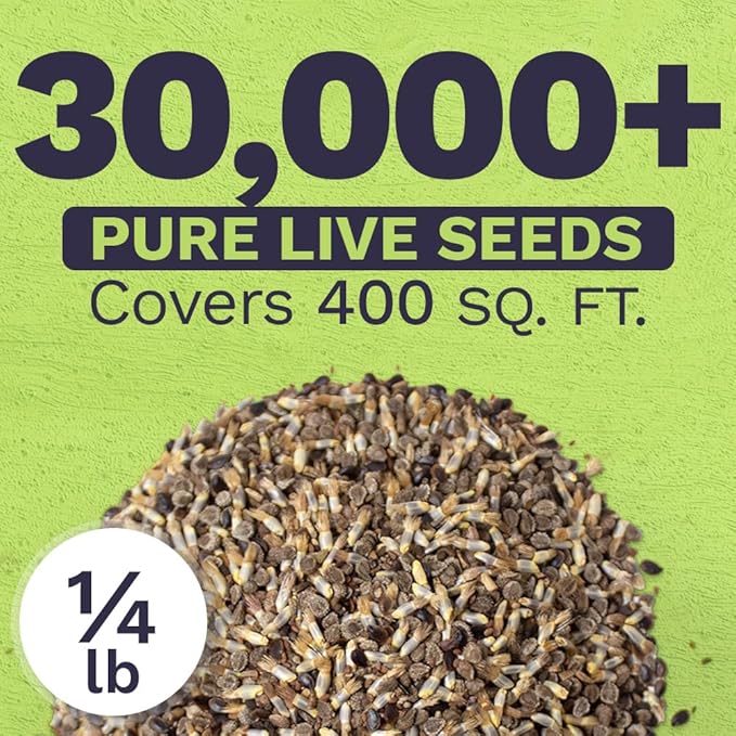 All Blues Wildflower Seeds - Bulk 1/4 Pound Bag - Over 30,000 PureAnnual and Perennial Flower Seeds